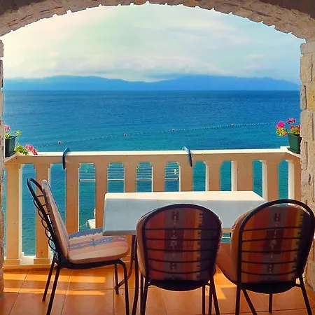 Martina 布里斯特